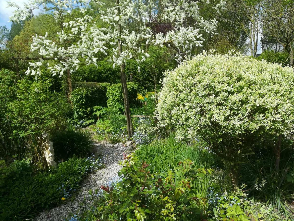 Pantgat Hof Bed & Breakfast Bollezeele Exterior photo